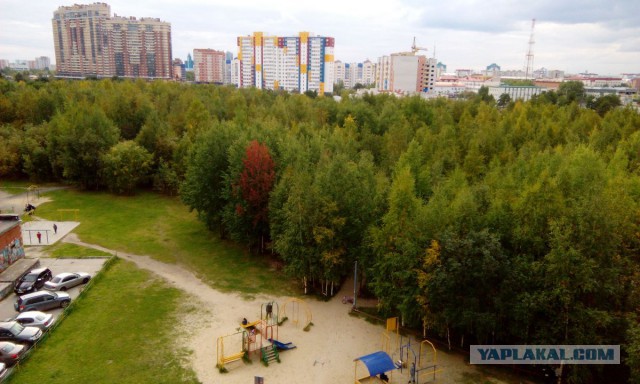 Конкурс "Последнее фото с телефона"