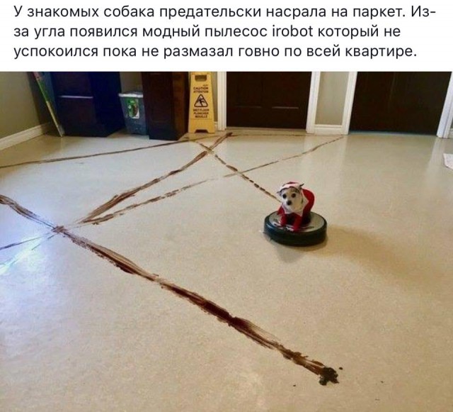 Что тут происходит?