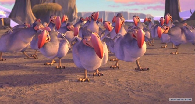 10 птиц, которых стоит избегать