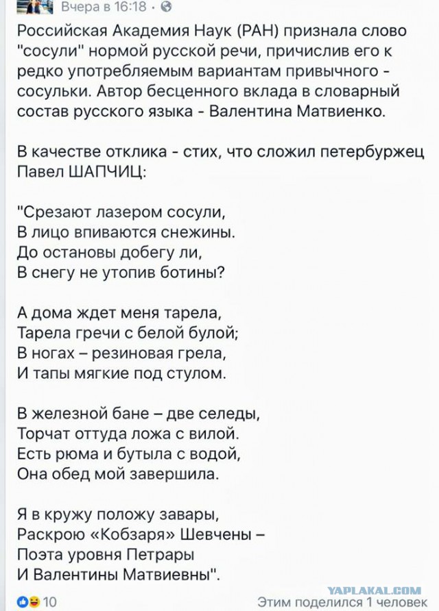Смешные комментарии из социальных сетей 16.02.2018