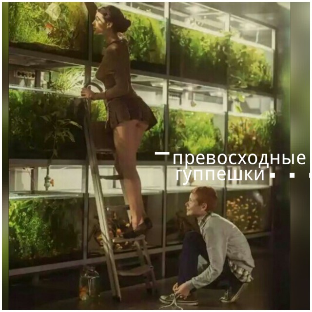 Подборка интересных и веселых картинок