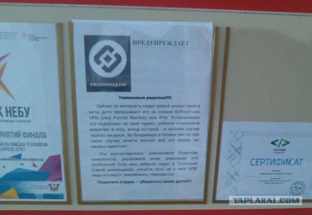 Отчитались "о проделанной работе". Путину доложили о блокировке Telegram