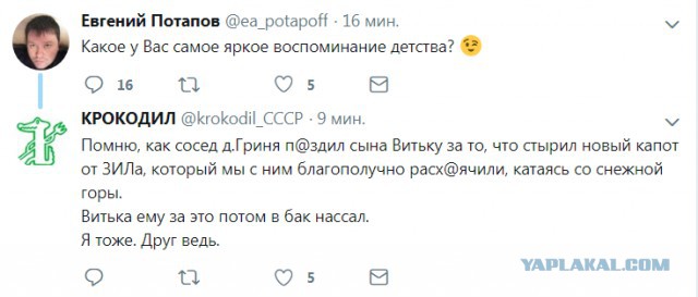 Много картинок в эту пятницу