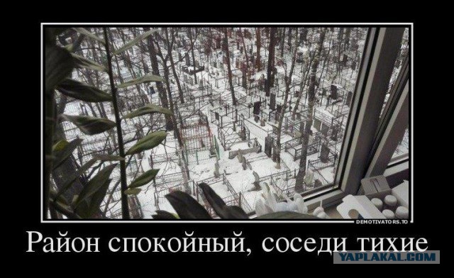 Мои дорогие соседи