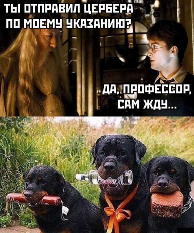 Картинки с надписями, истории и анекдоты