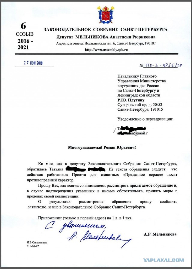 Помогите вернуть кота! Приют "Преданное сердце" украл кота и не отдает!-2