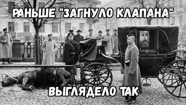 Конь наступил в лужу и умер в центре Москвы