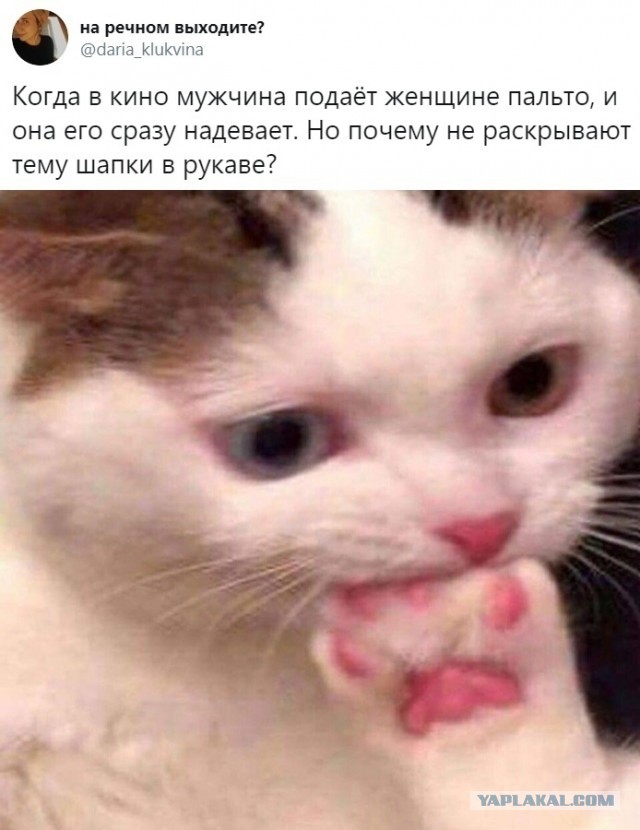 Бредзона 07.02.2020