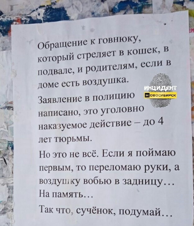 Тем временем в Новосибирске