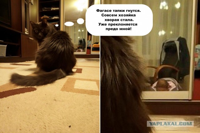 А у Вас какой вид из окна?