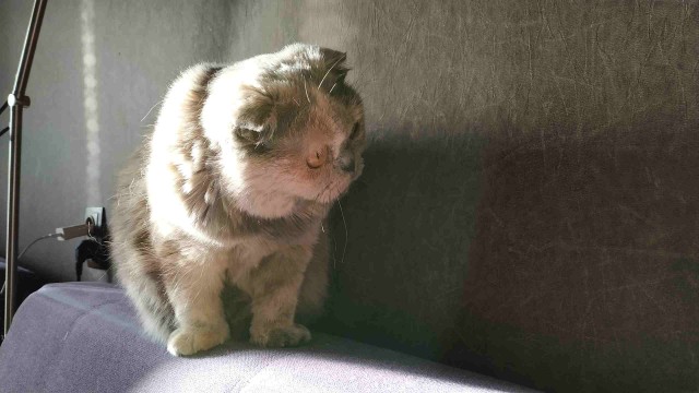 Живность 15.03.20
