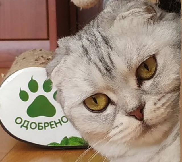 Чуток картинок не про вирус  18.0.  Животные