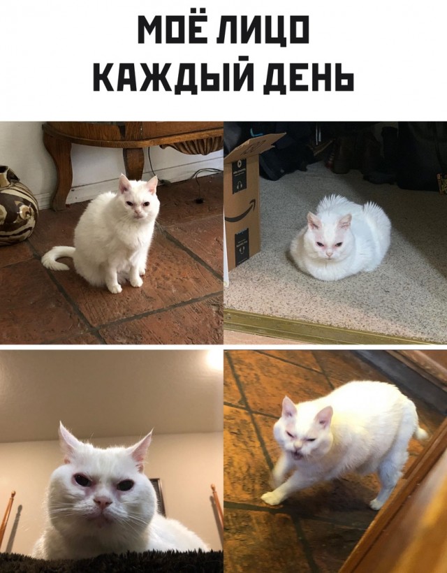 Среда с оттенками коричневого