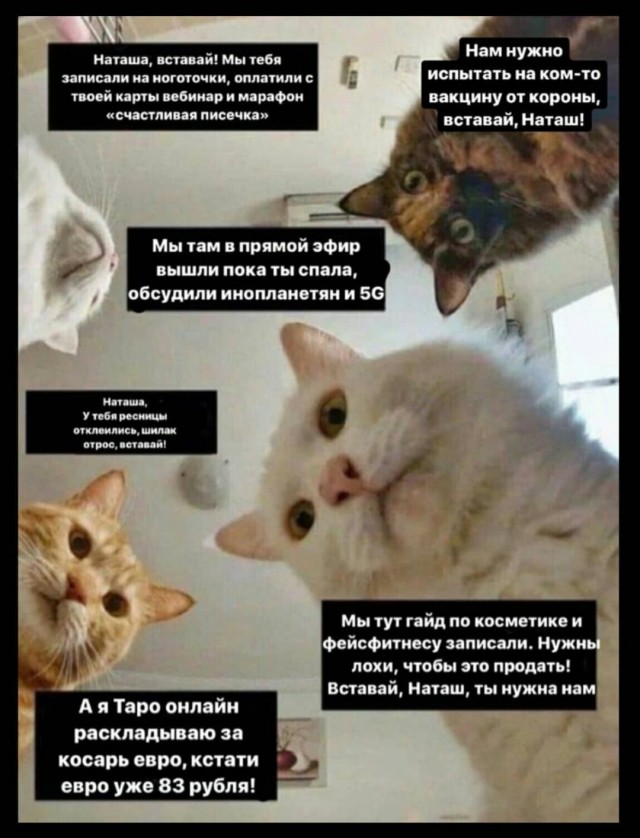 Юмор в картинках 27.07.20
