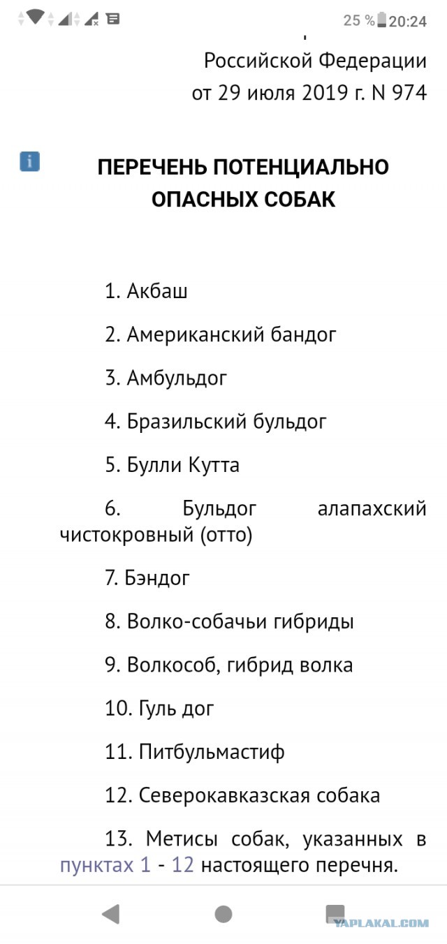 В Петербурге ловили собачников-нерях