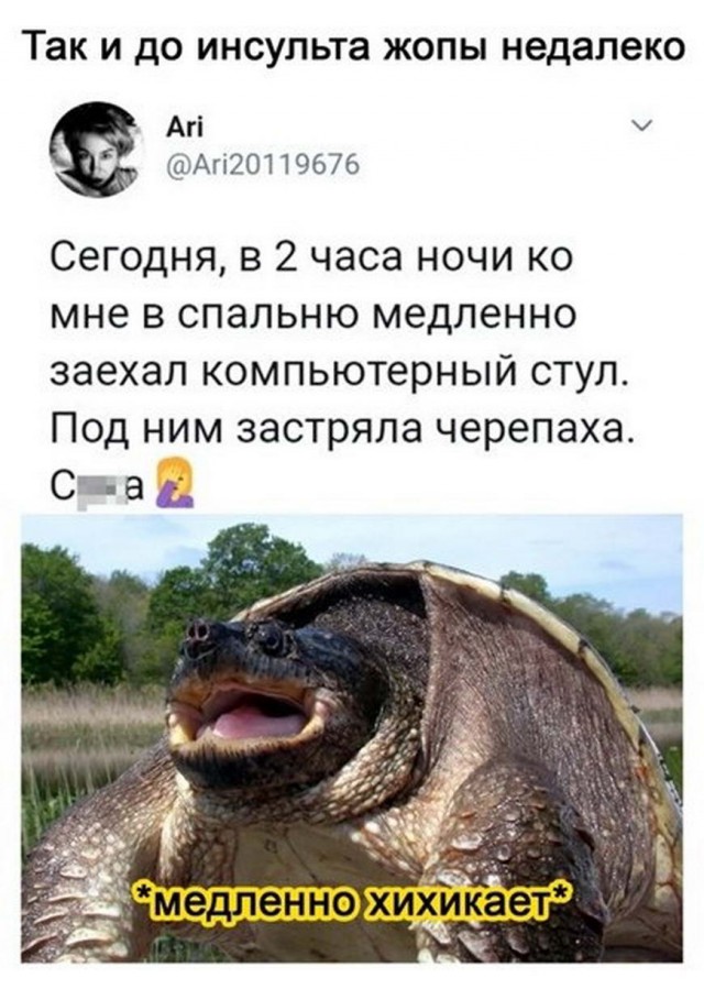 Картинки и мемы для настроения