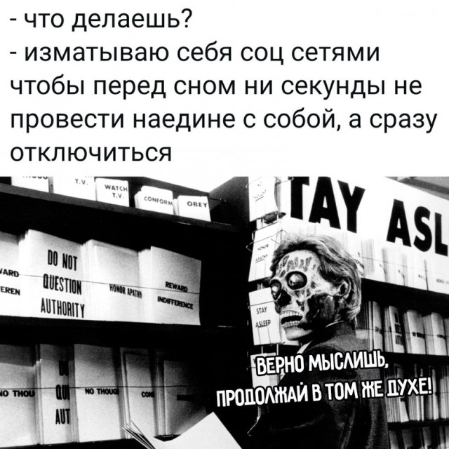 Весёлый полтишок 10.08