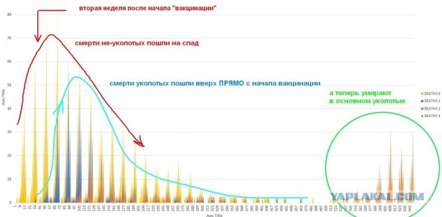 Восстание в Мельбурне - свежие фейки и теории заговоров