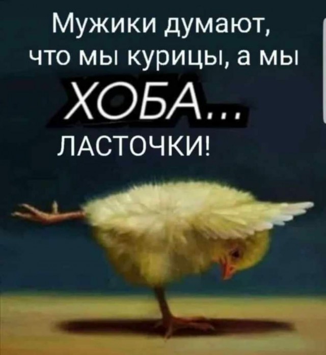 Всяческие картинки 22.12.2021