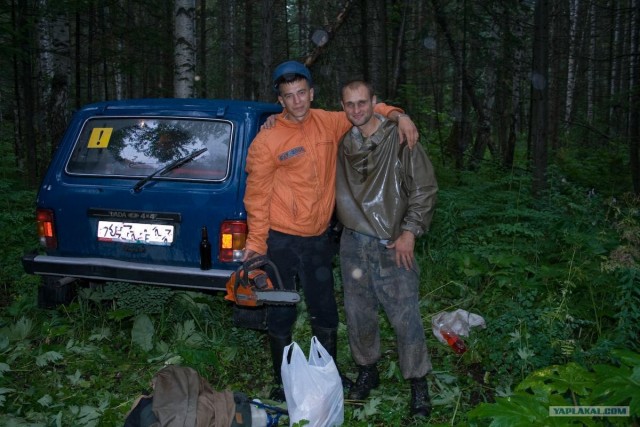 Тайга, сибирь, конец июля 2010