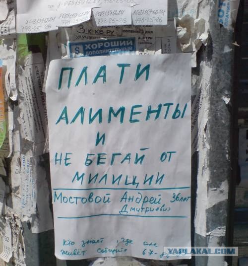 Жена совсем озверела
