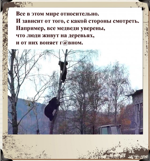 Так себе картинки 08.05.22