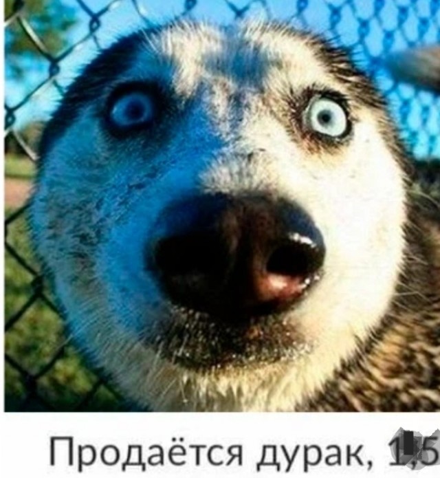 Муж загулял...