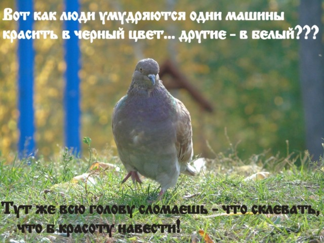 Необъяснимо но факт!