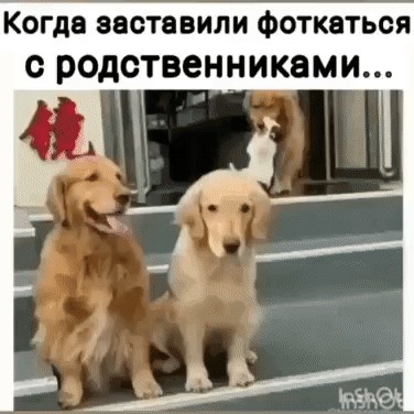 Юмор в картинках и без