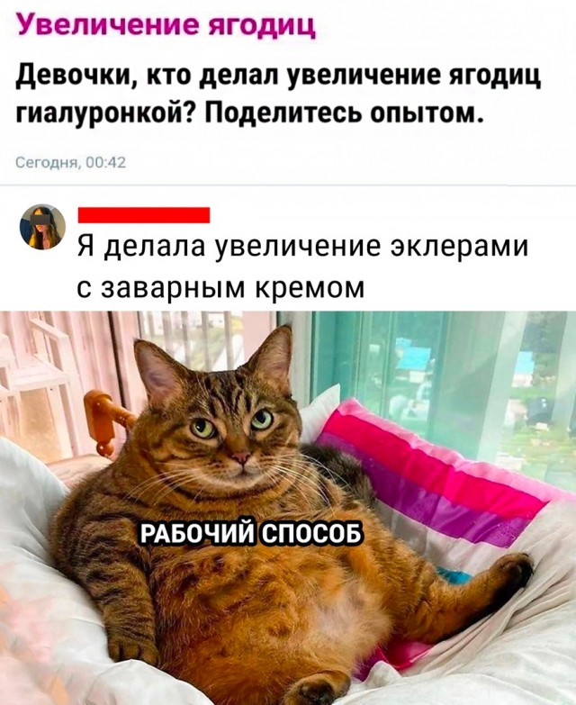 Так себе картинки 22.11.22