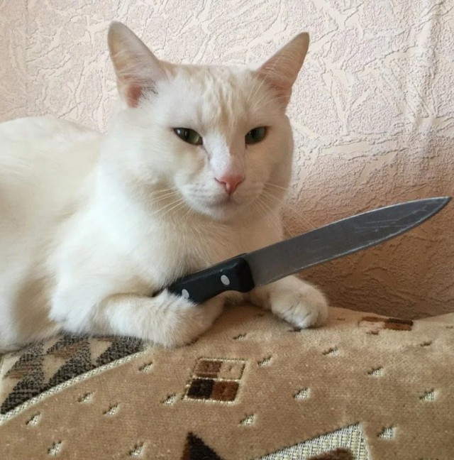 Этого.Не.Можед.Быдь