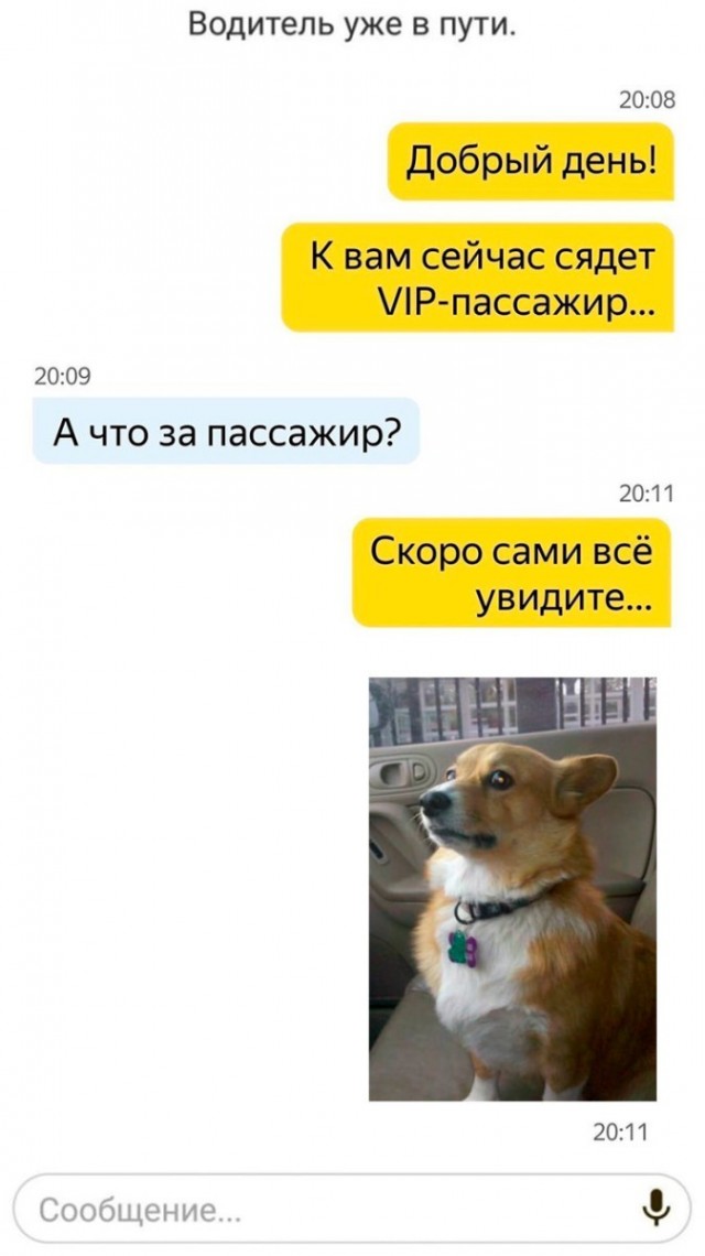Скриншоты и комментарии из социальных сетей 10.12.22