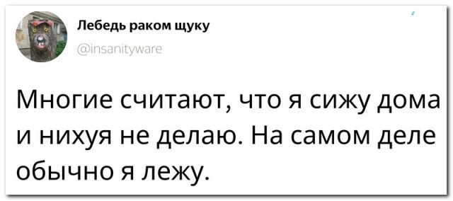 Забавные комментарии из социальных сетей 30.01.23