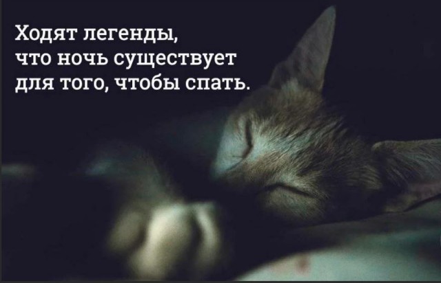 Победная поступь идиотизма по планете – том 7
