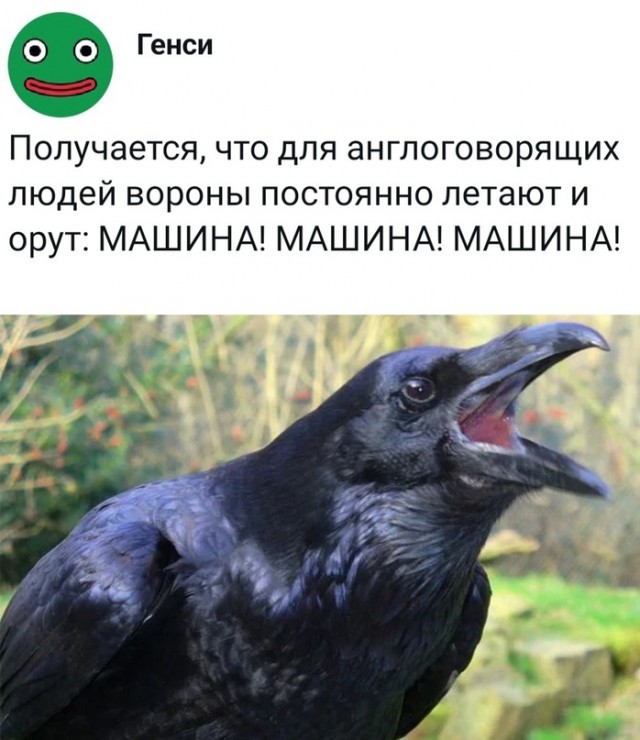 Немного картинок для настроения - 165