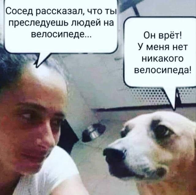 Всего понемногу. Пятничный
