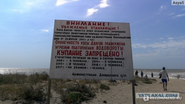 ЯП спас мне жизнь