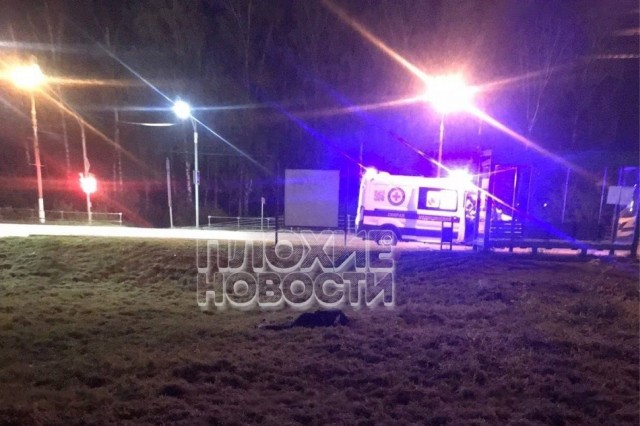 В подмосковном Чехове мигранты устроили среди ночи бойню, которая в итоге закончилась двойным убийством