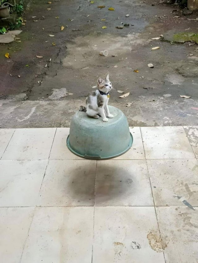 Фотографии , на которые нужно посмотреть дважды