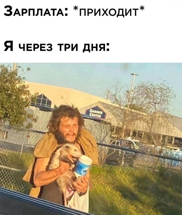 Фото подборка, от Скодеро
