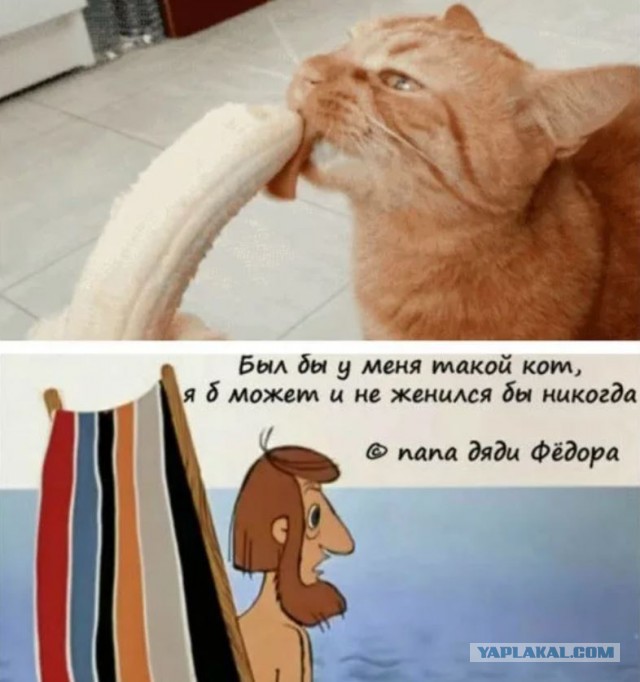 Знакомьтесь, Дмитрий!