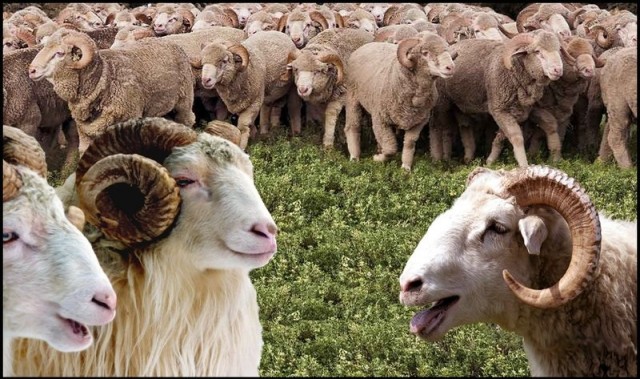 Ульяновца оштрафовали за критику работы городского транспорта и чиновников