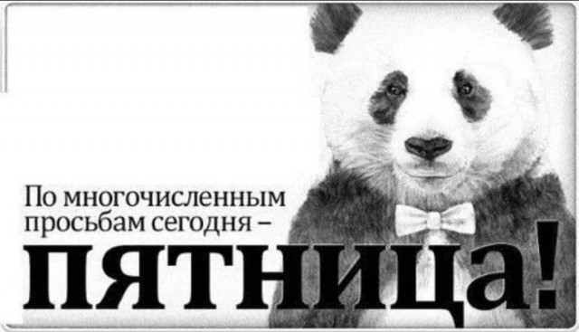 Так себе картинки 24.11.23