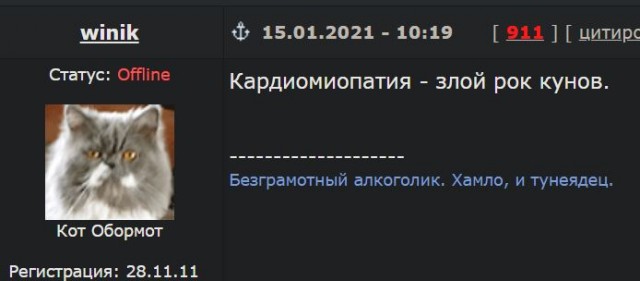 Мейн-куны и слабое сердце.