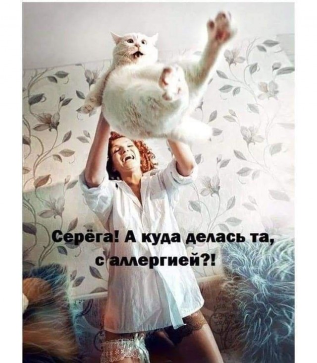 Парень выгнал свою девушку из дома из-за кота