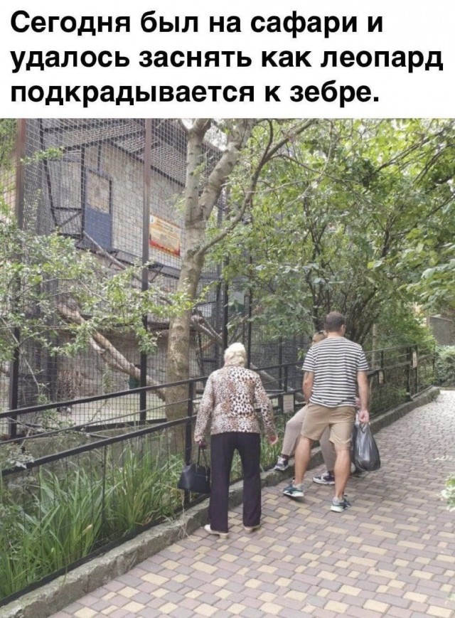 Завалялось тут случайно немного забавных картинок