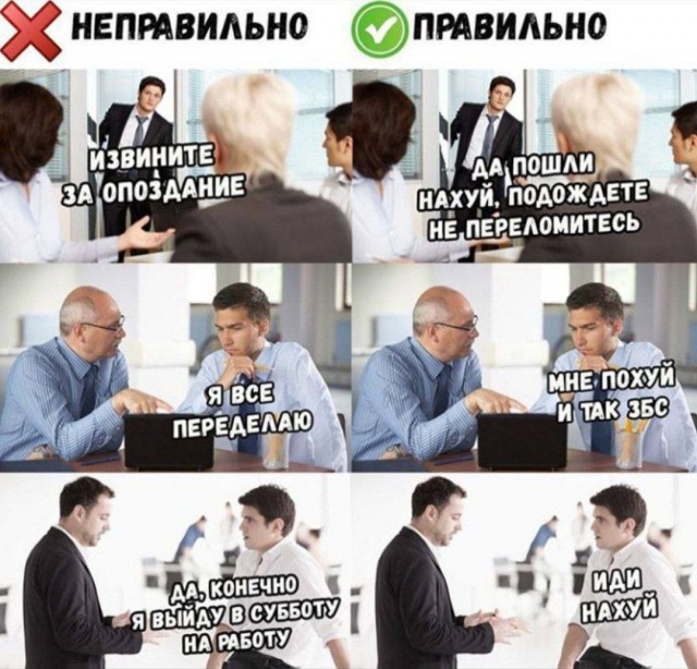 Весёлый полтишок 06.12.24