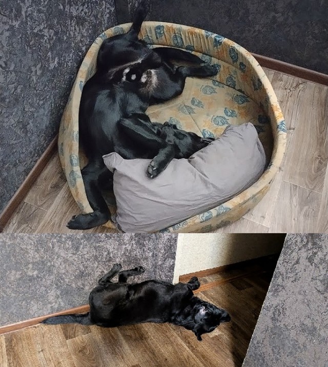 Сила привычки