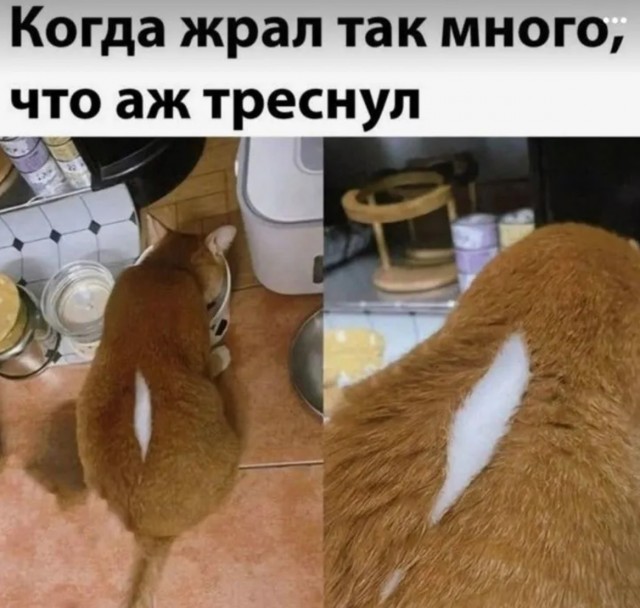 Завалялось тут случайно немного забавных картинок