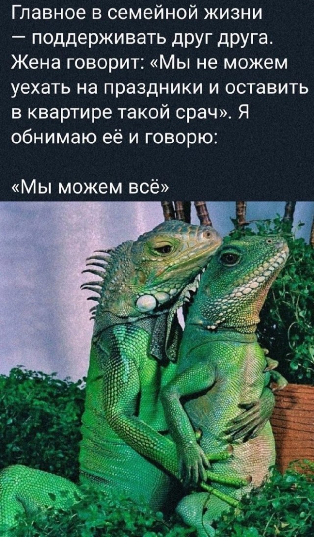Веселые картинки в пятницу (28.03)